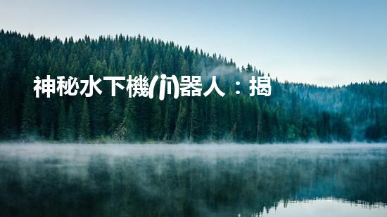 神秘水下機(jī)器人：揭開(kāi)密封之謎！